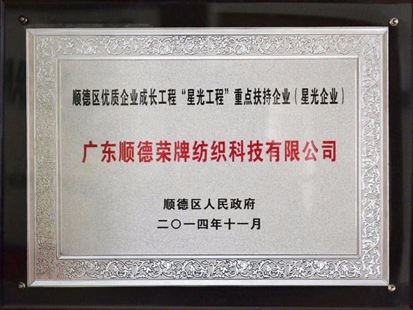 YY易游m6米乐-2012年获顺德政府颁发“星光企业”称号